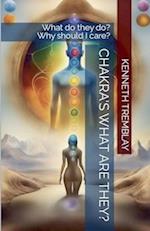 Chakras, What Are They , What Do They Do? Why Should I Care?