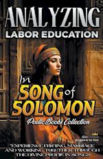 Analyzing Labor Education in Song of Solomon