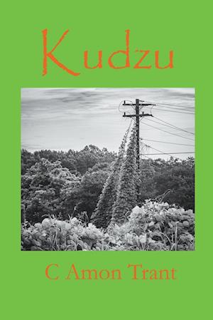 Kudzu