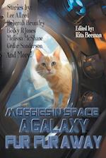 Moggies in Space