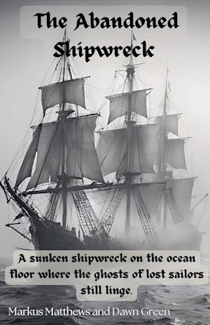 The Abandoned Shipwreak