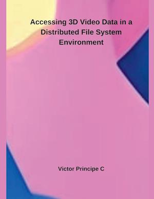 Accessing 3D Video Data in a Distributed File System Environment