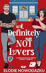 Definitely Not Lovers (Damian & Maddie #1)