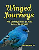 Winged Journeys