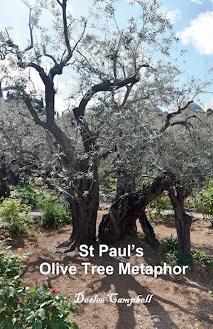 St Paul's Olive Tree Metaphor