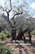 St Paul's Olive Tree Metaphor