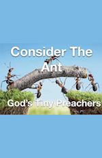 Consider The Ant - God's Tiny Preachers