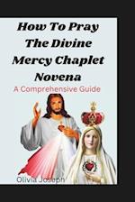 How To Pray The Divine Mercy Chaplet Novena