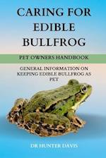 Caring for Edible Bullfrog