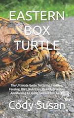 Eastern Box Turtle