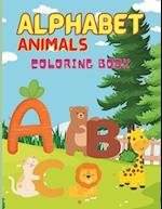 Cute Animal Coloring book for Kids
