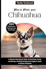 How to Train Your Chihuahua