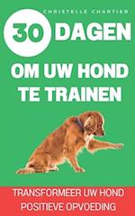 De methode om uw hond te trainen in 15 minuten per dag