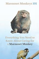 Marmoset Monkey's 101