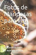 Fotos de Mariposas para visu