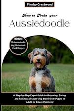 How to Train Your Aussiedoodle