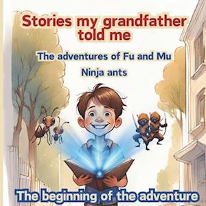 The adventures of Fu and Mu, ninja ants
