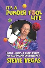 It's A Punder Fool Life