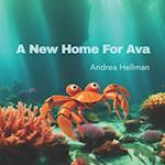 A New Home For Ava