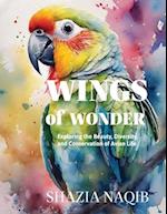 Wings of Wonder