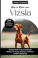 How to Train Your Vizsla