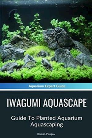 Iwagumi Aquascape