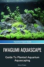 Iwagumi Aquascape