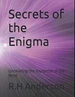 Secrets of the Enigma