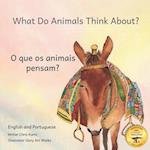 What Do Animals Think About?: Empathetic Questions for Ethiopian Animals in Portuguese and English 