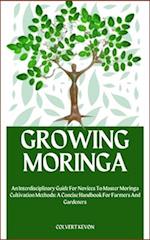 Growing Moringa