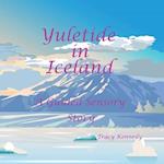 Yuletide in Iceland ( A Guided Sensory Story )