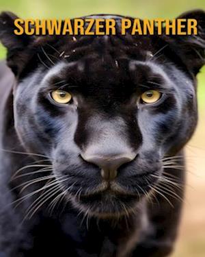 Schwarzer Panther