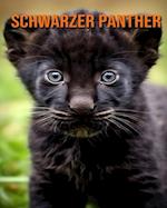 Schwarzer Panther