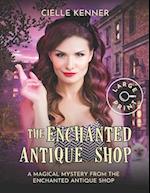 The Enchanted Antique Shop