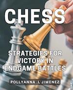 Chess Strategies for Victory in Endgame Battles