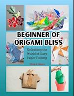 Beginner of Origami Bliss