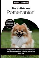 How To Train Your Pomeranian