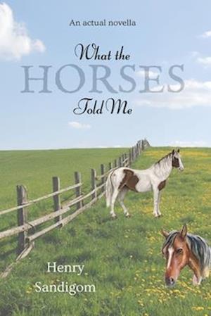What The Horses Told Me