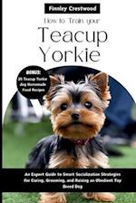 How To Train your Teacup Yorkies