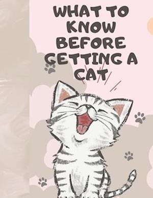 What to know before getting a cat