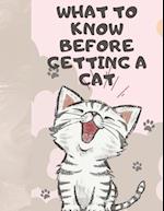 What to know before getting a cat