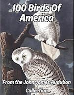 100 Birds of America VOLUME 1