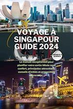 Voyage À Singapour Guide 2024