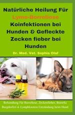 Natürliche Heilung Für Lyme-Borreliose Koinfektionen bei Hunden & Gefleckte Zecken fieber bei Hunden