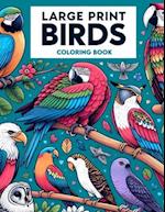 Large Print Birds Coloring book
