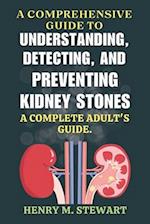 A Comprehensive Guide to Understanding, Detecting, and Preventing Kidney Stones