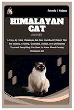 Himalayan Cat as Pet