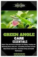 Green Anole Care Essentials