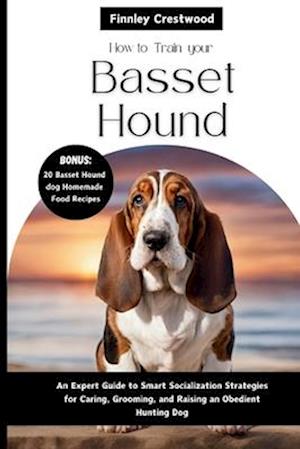 How To Train Your Basset Hound