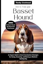 How To Train Your Basset Hound